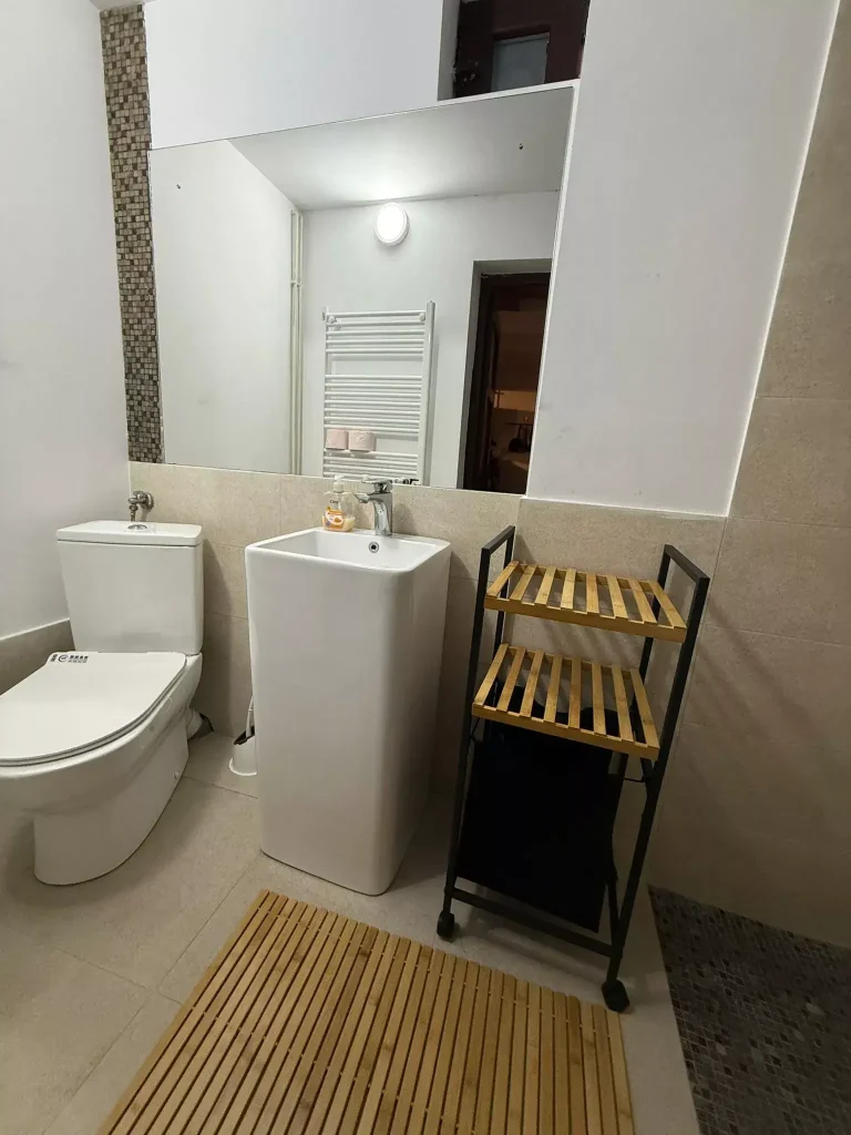 baie cu duș walk-in în Paltinu Forest House