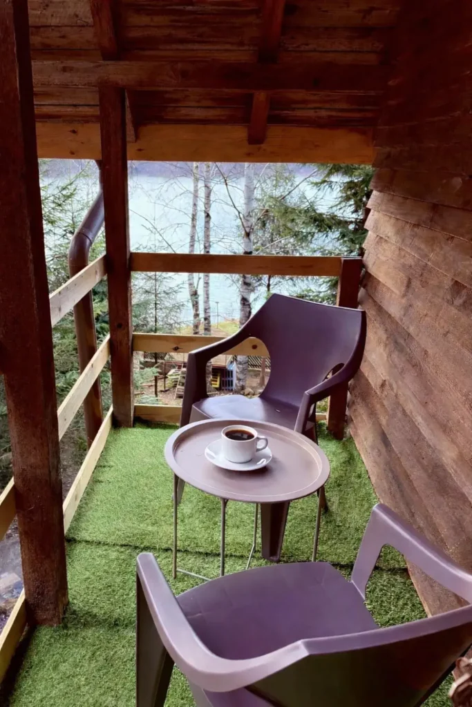 balcon comun la etajul 1 in Paltinu Lake House cu vedere spre natura