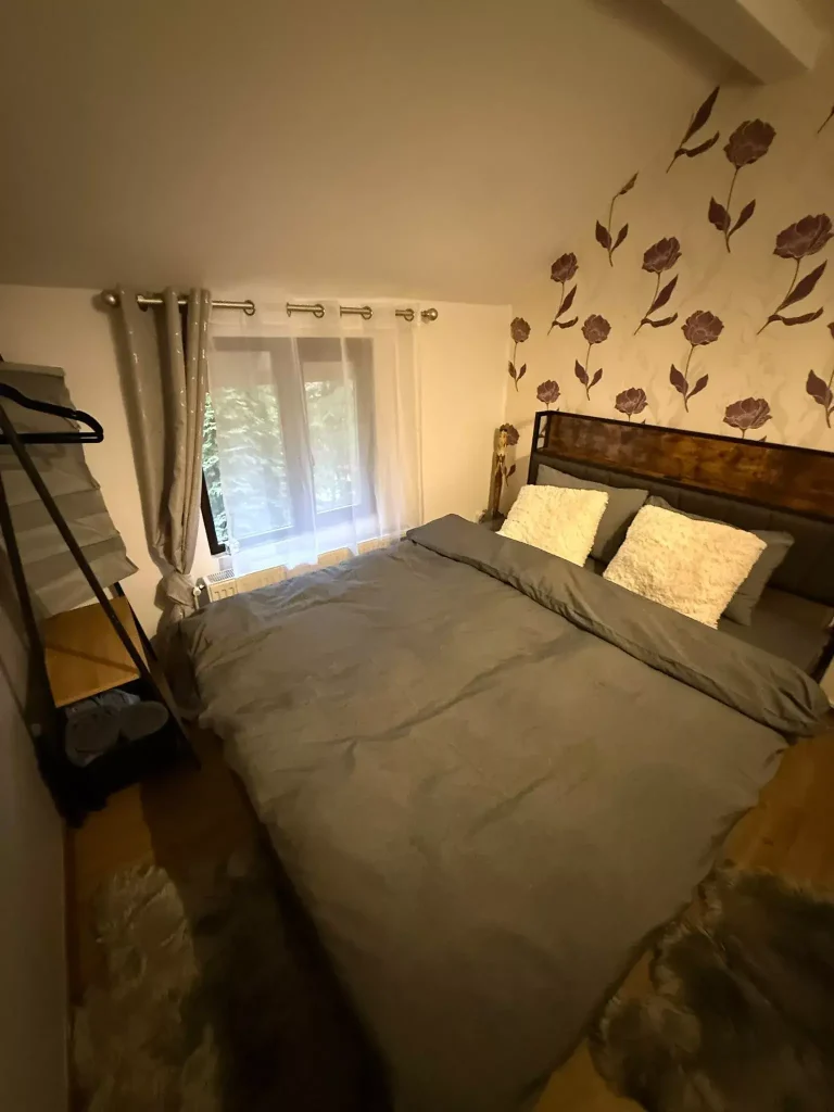 cameră dublă cu vedere la lac în Paltinu Forest House