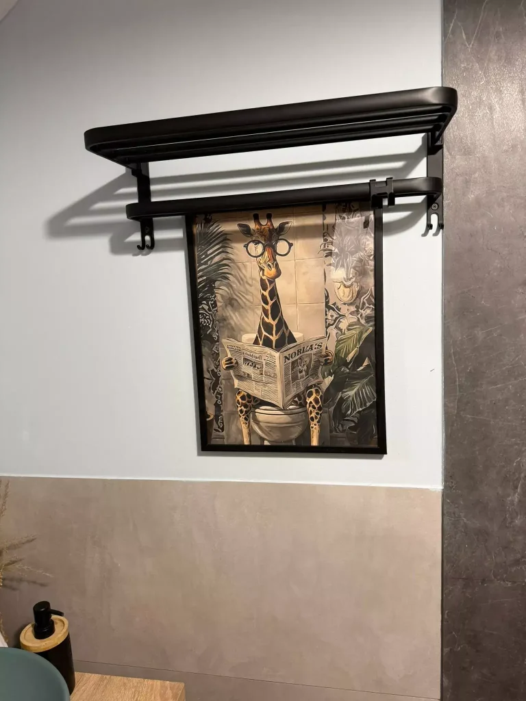 tablouri decorative in baia camerei din Paltinu Lake House