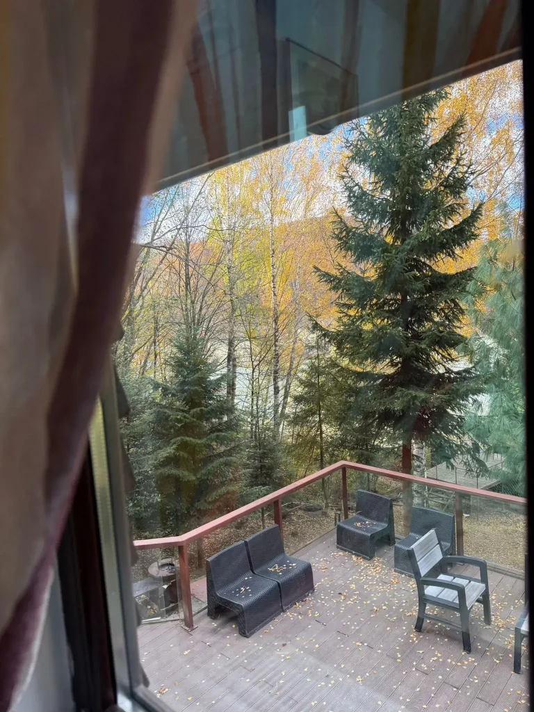 vedere spre lacul Paltinu din camera cabanei