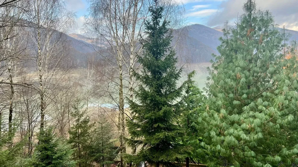 vedere spre lacul Paltinu din camera mansardei